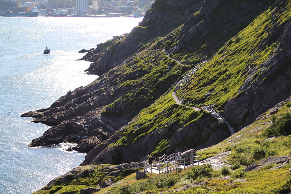 Looking back along the trail on a bright summer day.