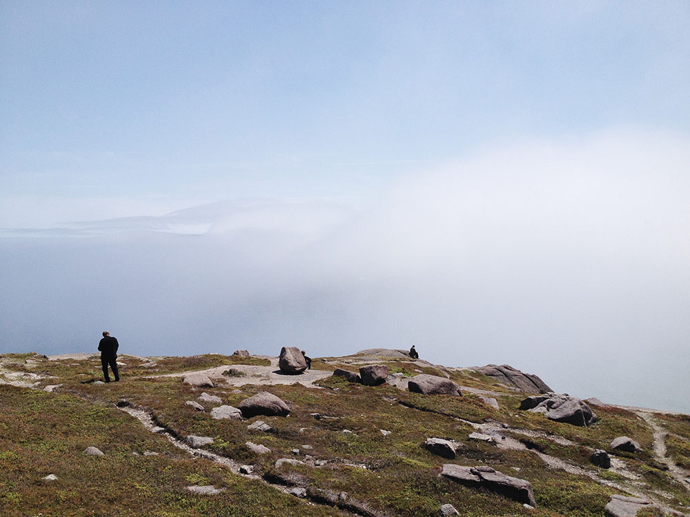 Glacial erratics on the North Head.