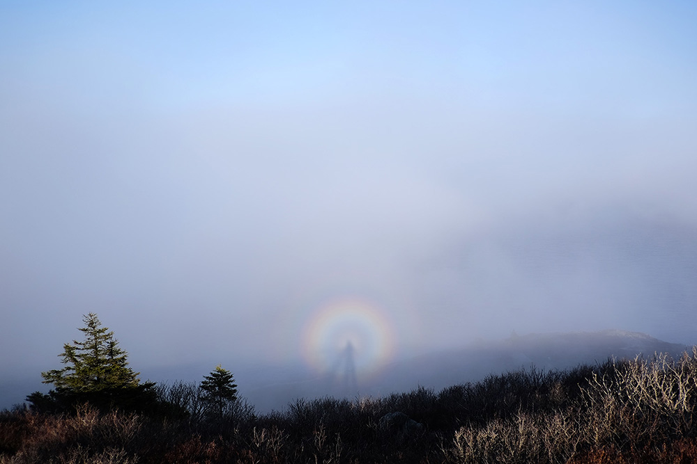 Fog can produce optical phenomena, like this Brocken spectre and glory seen from the top of the trail.