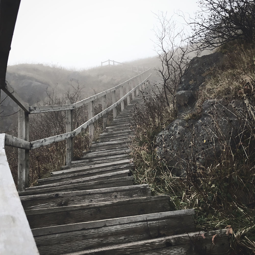 Looking up the steepest staircase.