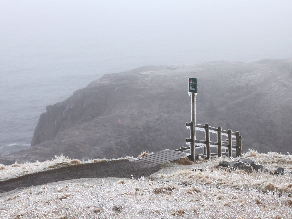 The trailhead covered in ice.