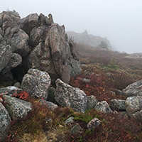 A foggy outcrop brightened by red leaves.