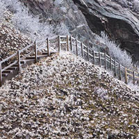 A snow-covered boardwalk on the trail.