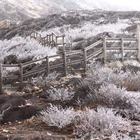 Boardwalks with diagonal icicles.