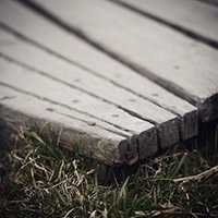 Closeup of the edge of a boardwalk.