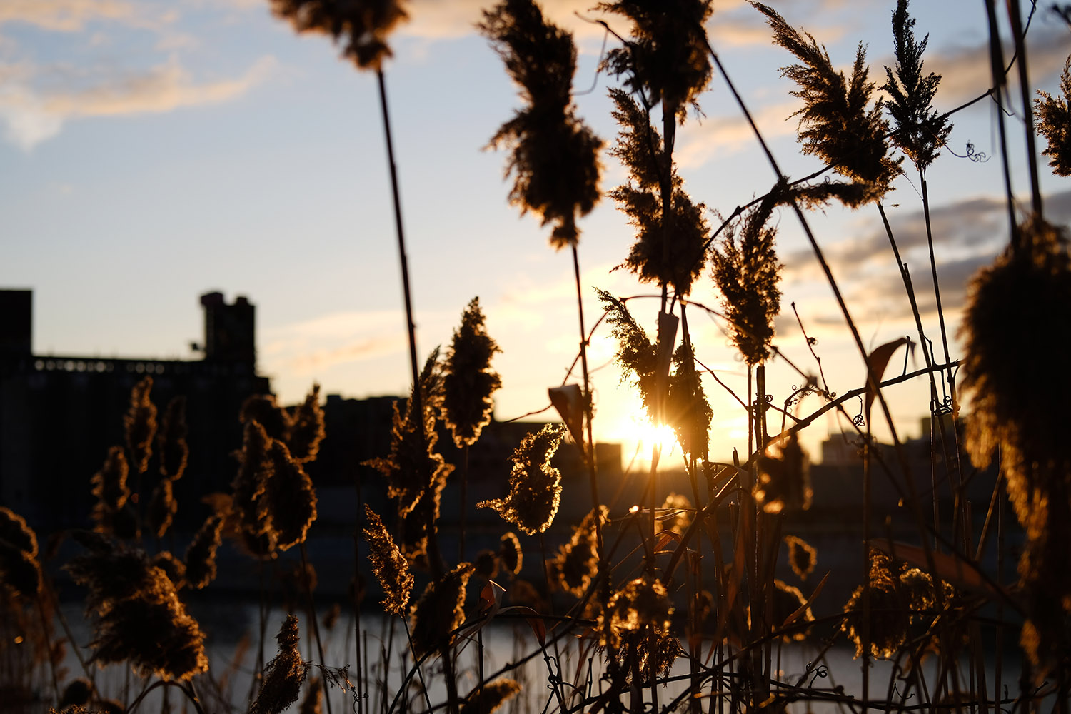 Distancing on the Lachine Canal